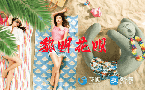 副委员长花呗